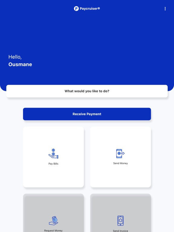 Screenshot #4 pour PayCruiser®
