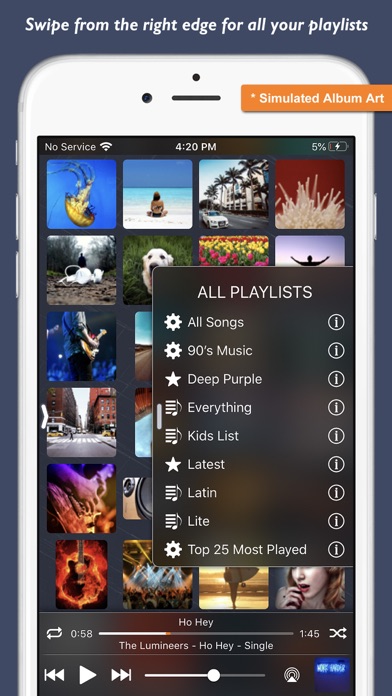 Platinum Album Music Player Screenshot