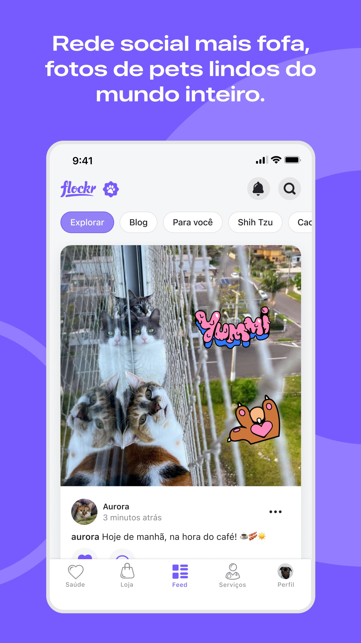 Screenshot do app Flockr - Pets com mais saúde