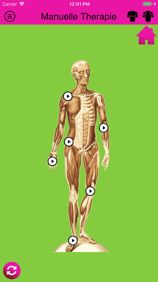 #2. PSO MT (iOS) 由: physiotherapie schule ortenau Ggmbh