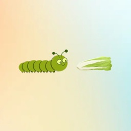CABBAGE BUG