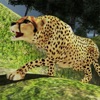 Wild Cheetah Attack:Chase Game icon