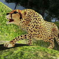 Wild Cheetah AttackChase Game