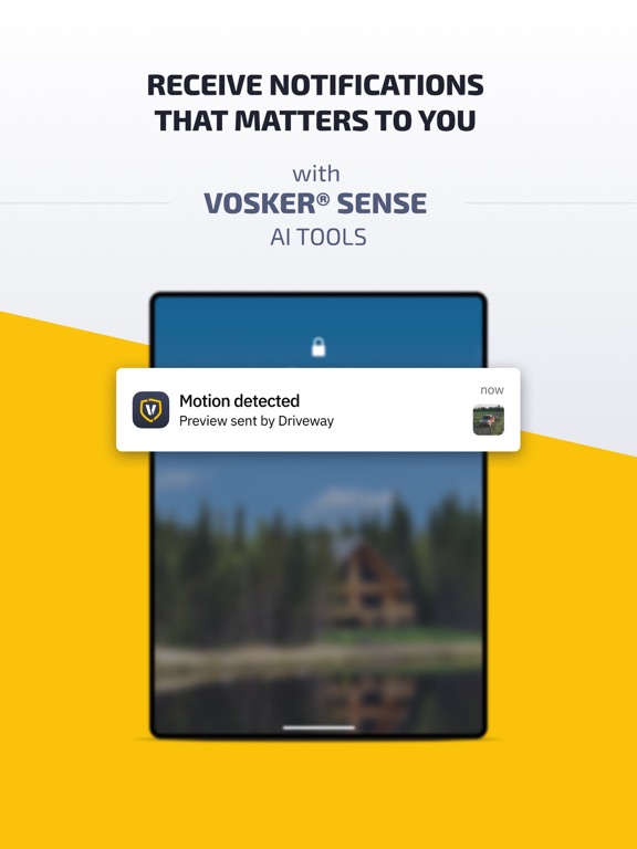 Vosker iPad screenshot 6 - Photo & Video app