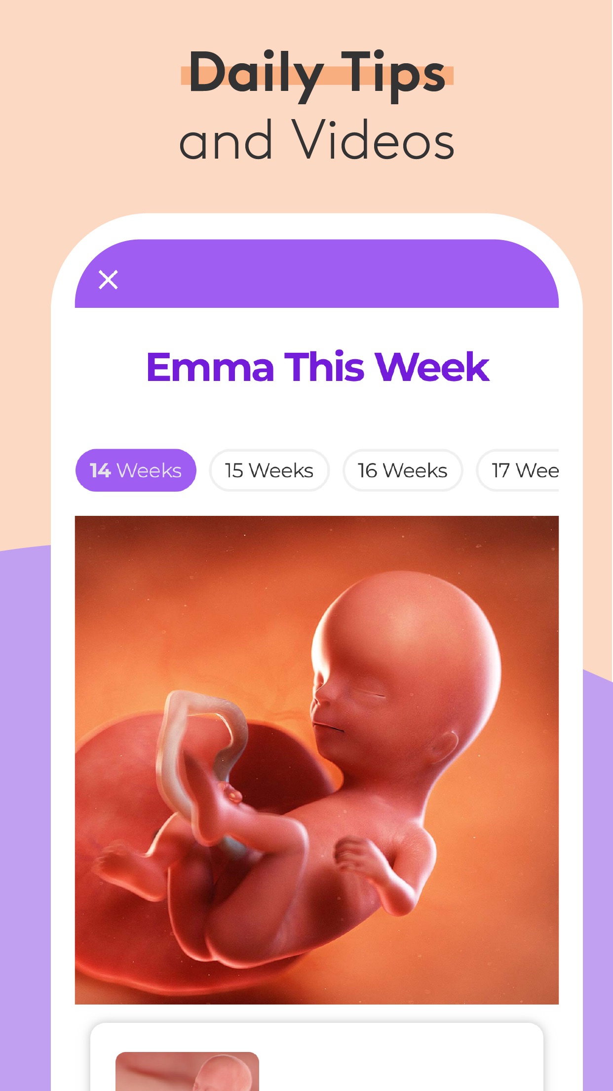 Pregnancy & Baby Tracker - WTE screenshot 2