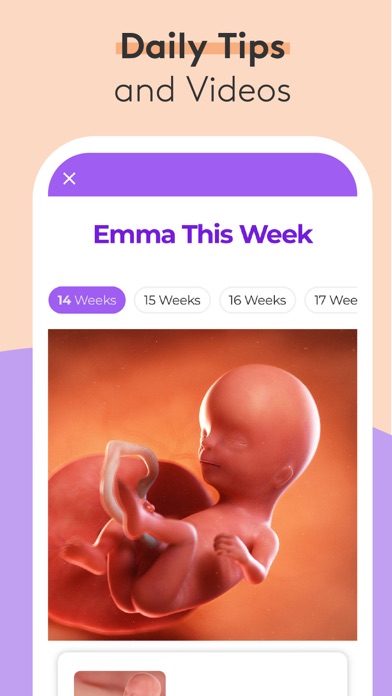 Screenshot #2 pour Pregnancy & Baby Tracker - WTE