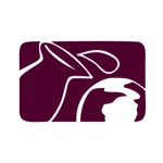 Comunidade Vinho Novo