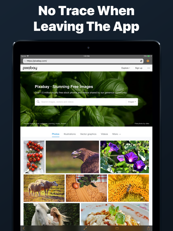 Private Web Browser Incognito iPad screenshot 7 - Utilities app