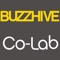 Buzzhive Colab