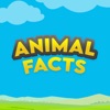 Animal Facts App icon