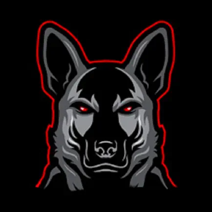 CrossFit 256 Читы