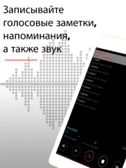 Диктофон - Для Записи Звука айпад изображения 1