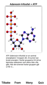 Glykolyse iphone bilder 2