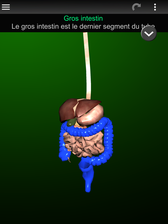 Screenshot #5 pour Organes 3D (Anatomie)
