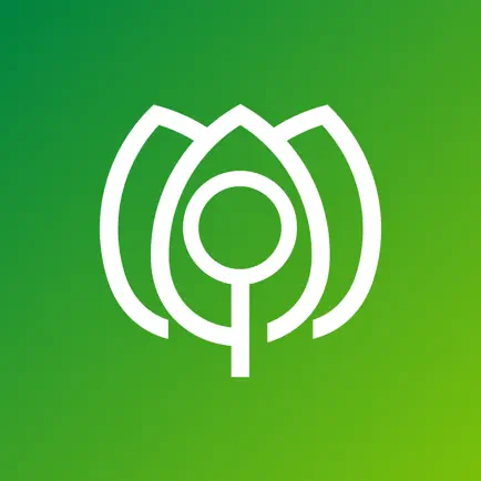 ZAMID Читы