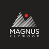 Magnus reward program icon
