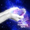 Salon humming bird　公式アプリ icon