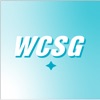 91.3 WCSG icon