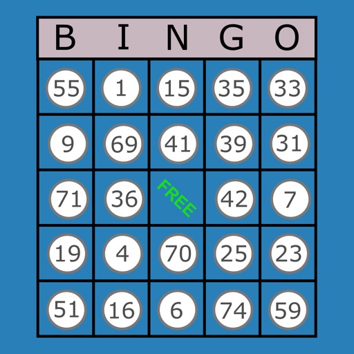 Classic Bingo Touch