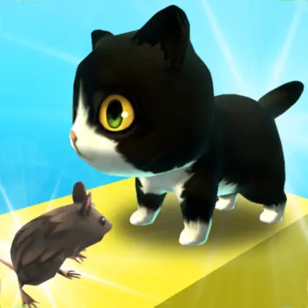 Zara Cat - New Games 2021 Читы
