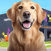 Animal Shelter Dog Rescue Game