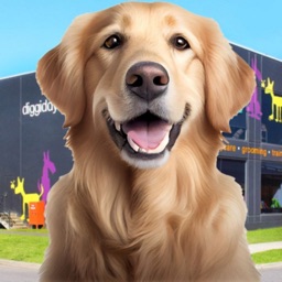 Animal Shelter Dog Rescue Game