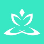 Download Zen Timer Pro app