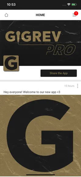 Game screenshot GigRev Pro K apk
