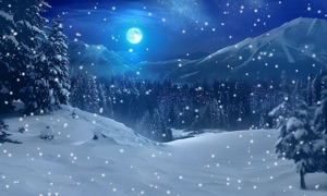 Snowfall Magic
