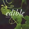 Edible Marin & Wine Country delivers fascinating articles, gorgeous photographs and mouth-watering recipes from the edible bounty of Marin, Napa and Sonoma counties in Northern California, season by season