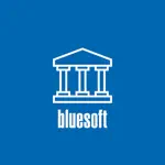 Bluesoft Financeiro App Contact