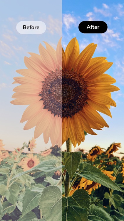 Presets - photo editor filters screenshot-4