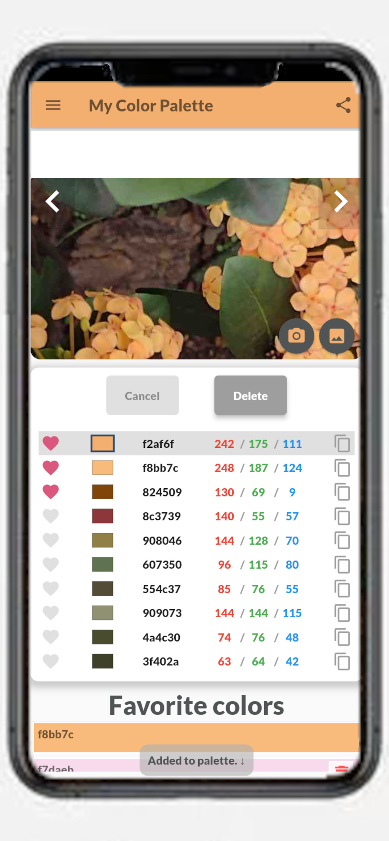 My Color Palette with Photos