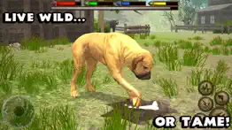 How to cancel & delete ultimate dog simulator 3