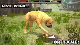 ultimate dog simulator iphone screenshot 3