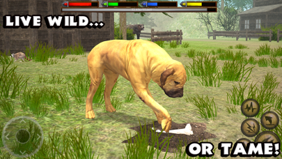 Ultimate Dog Simulator Screenshot