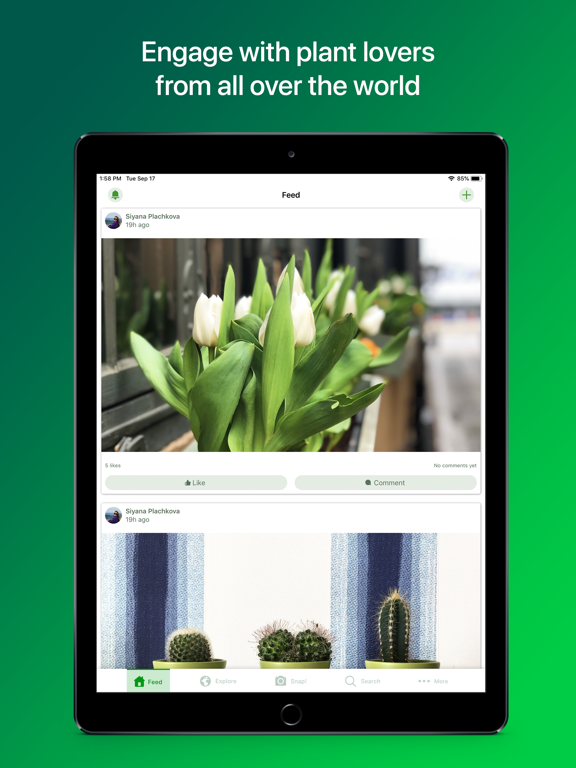 Screenshot #1 for PlantSnap - identify plants