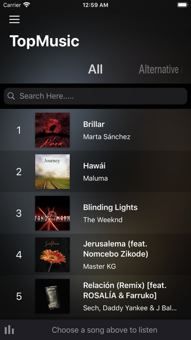 TopMusicSearch Screenshot