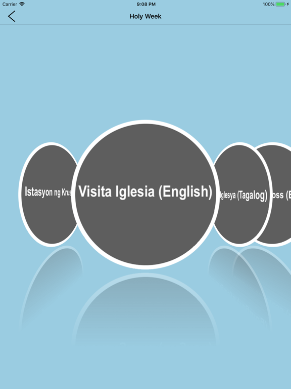 Catholic Essentials iPad screenshot 4 - Reference app