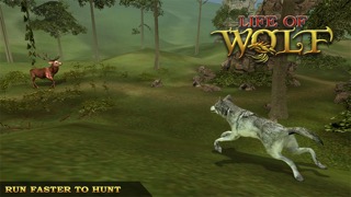 Life Of Wolf - Wild Life Simのおすすめ画像4
