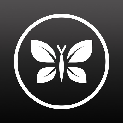 The Honest Company icon