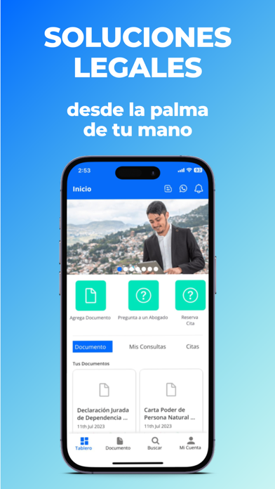 Tu Abogado Facil Screenshot