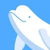 Beluga Social icon