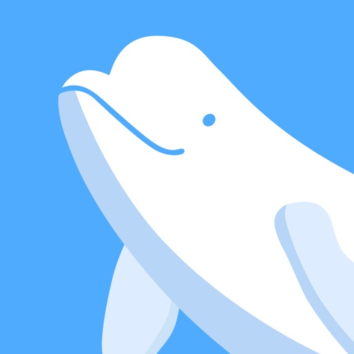 Beluga Social