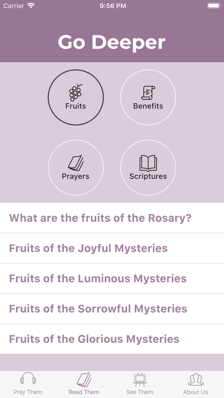Rosary Army 的 App Store 截图 5
