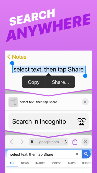 Incognito — Private Browser Screenshot