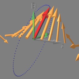 EMpolarization