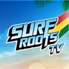 Surf Roots TV Reggae Party! icon