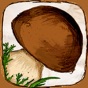 The Mushroom Book PRO app download