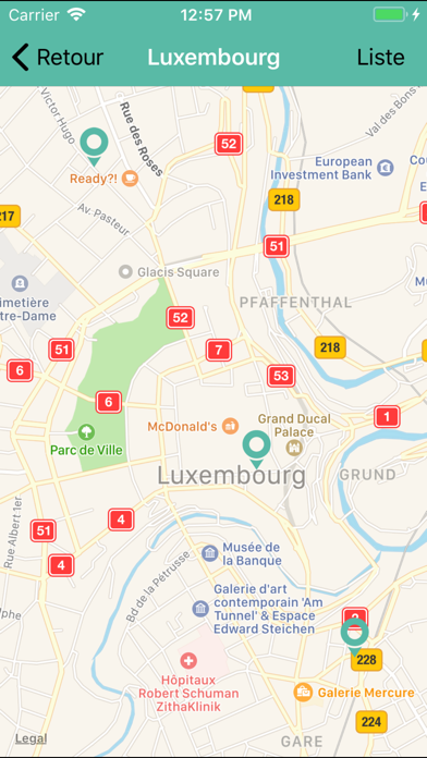 Screenshot #2 pour Carloh Carsharing